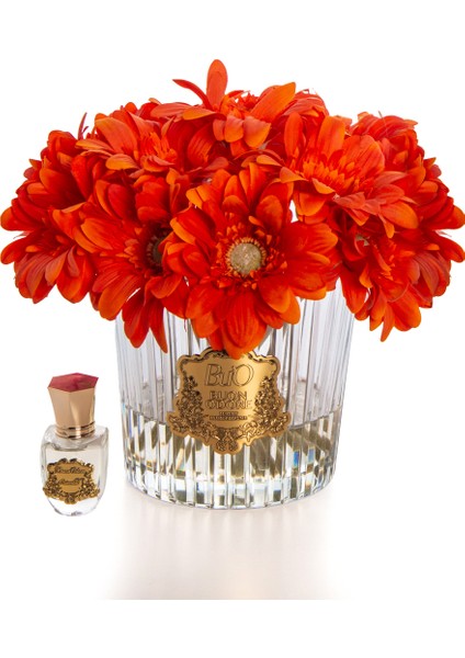 Gerbera Gold Turuncu fiyatları