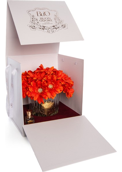 Gerbera Gold Turuncu fırsatları