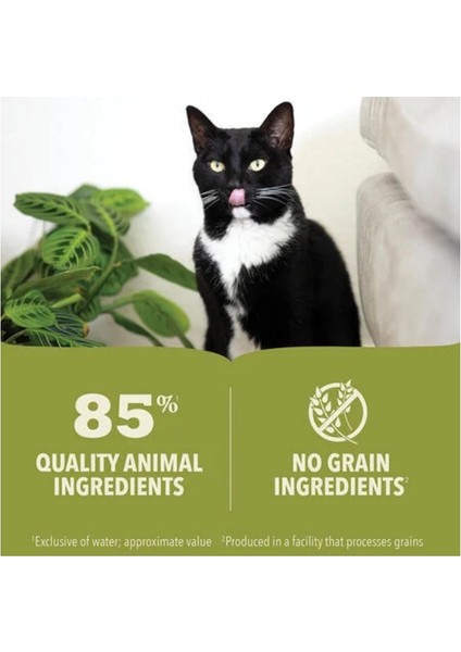 Premium Pate Tuna Balıklı ve Tavuklu Kedi Konservesi (85 Gr) fiyatları