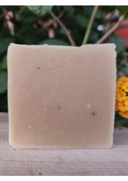 Çay Ağacı Eşek Sütü Sabunu fiyatları