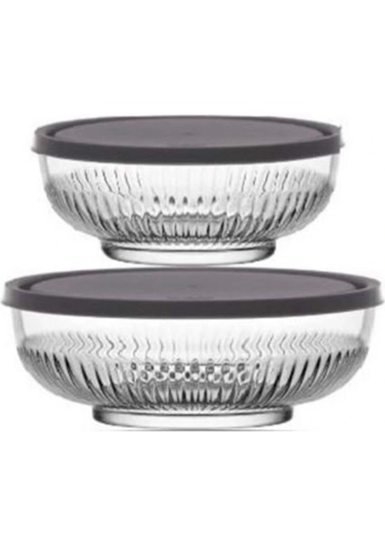 Feyzade Tokyo Saklama Kabı Seti 1 Adet 1500CC - 1 Adet 880CC (TOK-287 TOK-282)