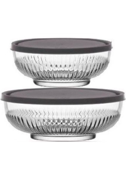 Feyzade Tokyo Saklama Kabı Seti 1 Adet 1500CC - 1 Adet 880CC (TOK-287 TOK-282) modelleri