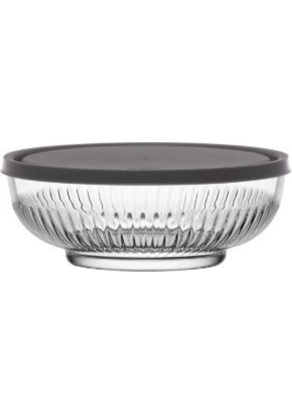 Feyzade Tokyo Saklama Kabı Seti 1 Adet 1500CC - 1 Adet 880CC (TOK-287 TOK-282) fırsatları