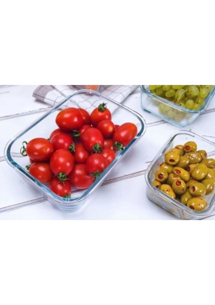 Cam Kilitli Saklama Kabı 1200 cc fiyatları