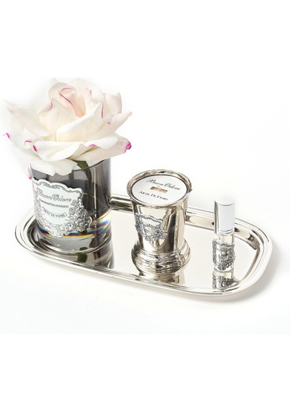 Füme Cam Sılver Allıklı Set
