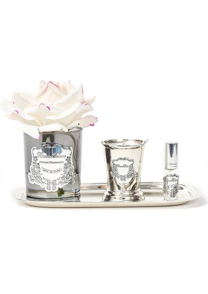 Füme Cam Sılver Allıklı Set fiyatları