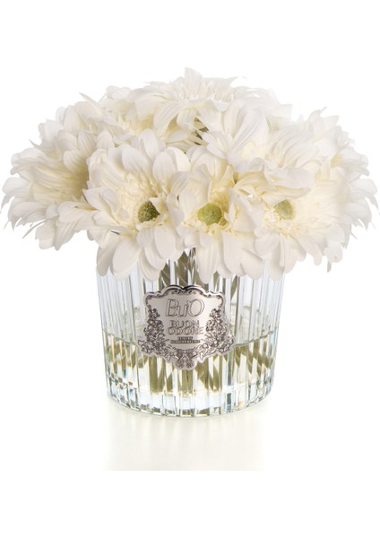 Gerbera Sılver Beyaz