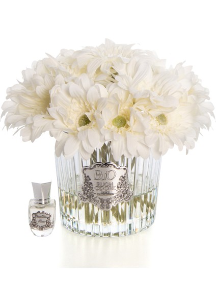 Gerbera Sılver Beyaz fiyatları