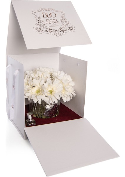 Gerbera Sılver Beyaz fırsatları