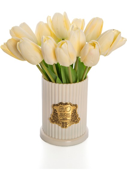 Gold Rozet Lale Krem