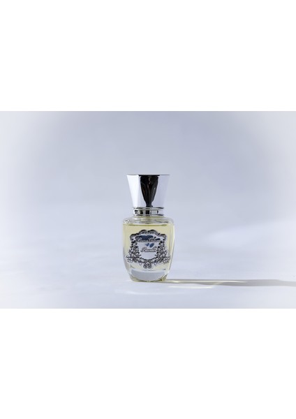 30 ml Sılver Ev Parfumu
