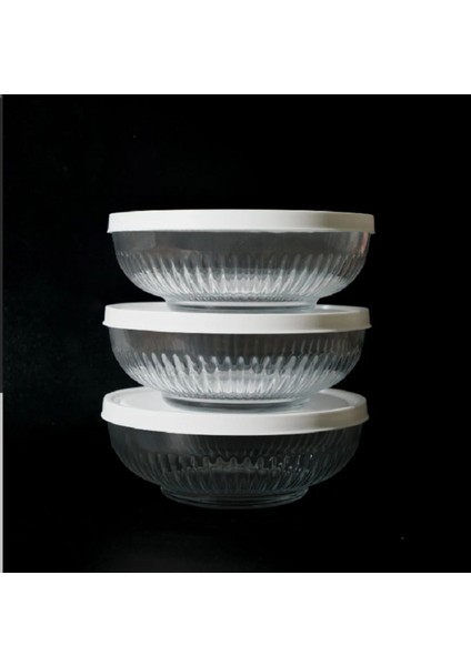 Feyzade Tokyo Saklama Kabı Seti 3'lü (1500CC x 3 Adet) Beyaz Kapaklı fiyatları