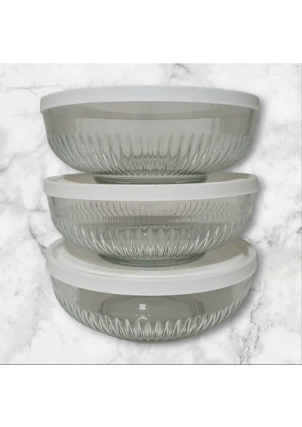 Feyzade Tokyo Saklama Kabı Seti 3'lü (1500CC x 3 Adet) Beyaz Kapaklı modelleri