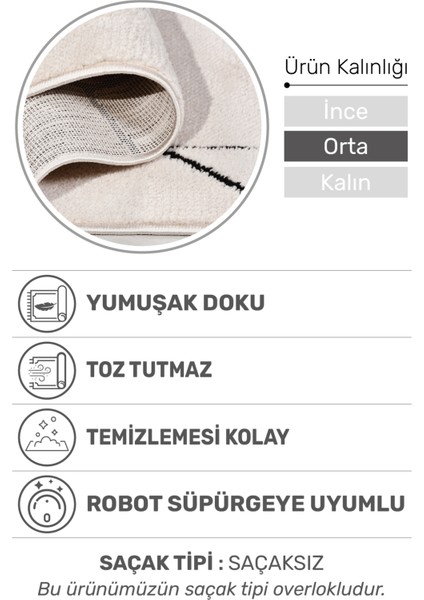 Joliva Halı Koleksiyonu | Yumuşak Post Halı, Kalın Hav, Tozumaz ve Kolay Temizlik fiyatları