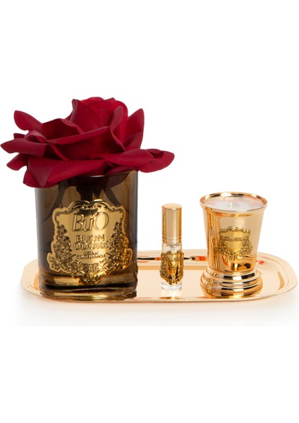 Amber Cam Gold Pirinç ve Mum Gül Set Kırmızı