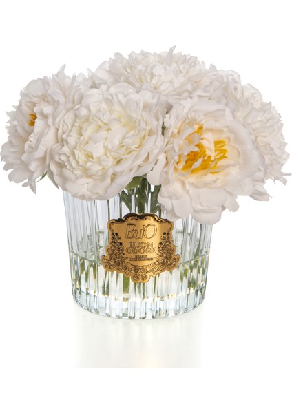 Ingiliz Şakayık Gold Beyaz