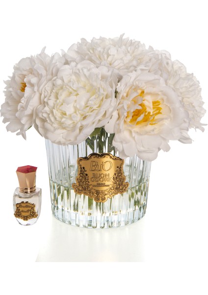 Ingiliz Şakayık Gold Beyaz fiyatları