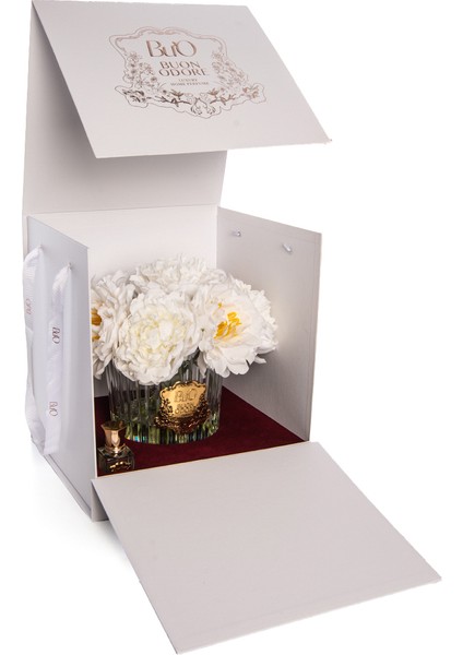 Ingiliz Şakayık Gold Beyaz fırsatları