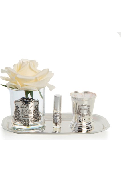 Silver Pirinç Mum&tek Gül Set Krem