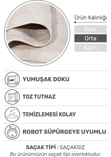 Joliva Halı Koleksiyonu | Yumuşak Post Halı, Kalın Hav, Tozumaz ve Kolay Temizlik fiyatları
