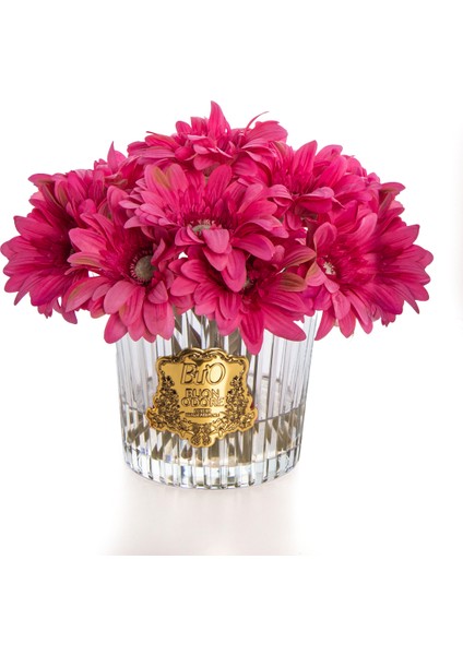 Gerbera Gold Fuşya