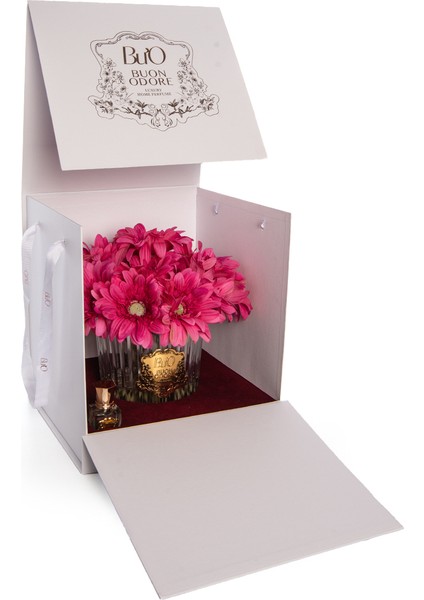 Gerbera Gold Fuşya fırsatları