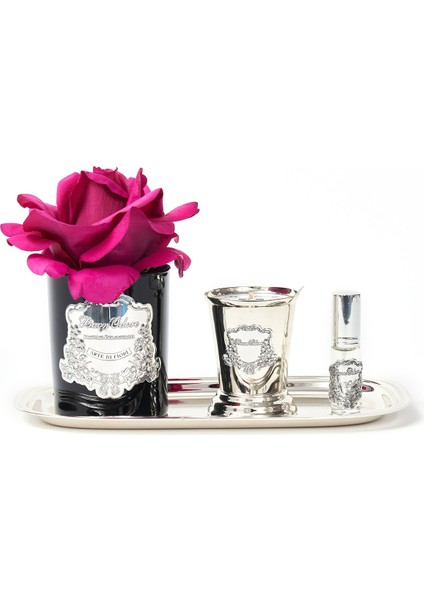 Sihay Cam Sılver Bordo Set