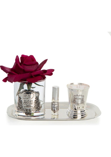 Cam Sılver Bordo Set Tek Gül Tepsili Set