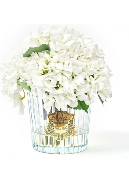 Beyaz Ortanca Gold Oda Kokusu fiyatları