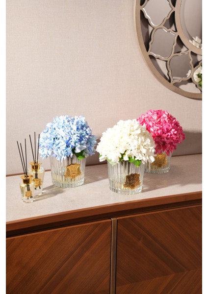 Beyaz Ortanca Gold Oda Kokusu