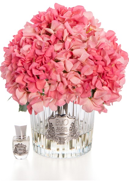 Pembe Ortanca Sılver Oda Kokusu