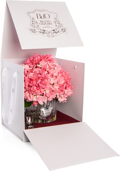 Pembe Ortanca Sılver Oda Kokusu fırsatları