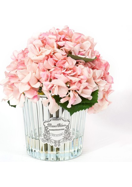 Pembe Ortanca Sılver Oda Kokusu