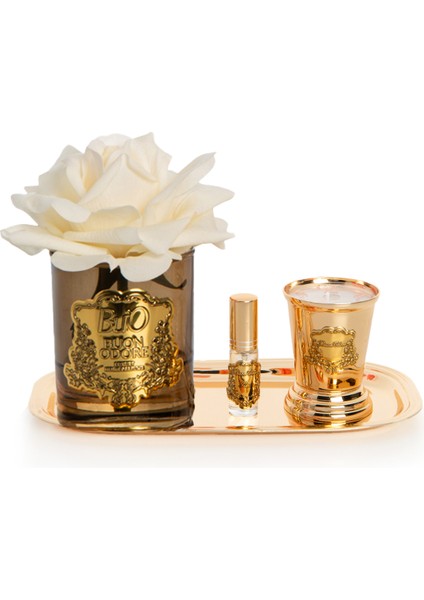 Amber Cam Gold Pirinç ve Mum Gül Set Krem