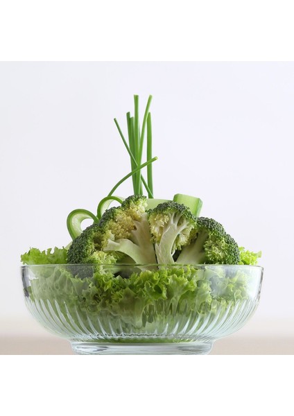 Tokyo Kase Seti 6 Parça Büyük Orta Küçük modelleri