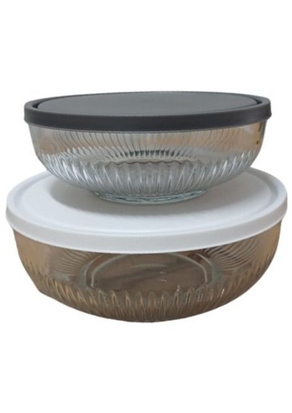 Feyzade Tokyo Saklama Kabı 2'li (2600CC- 1500CC) fiyatları