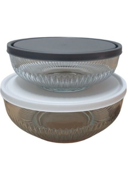 Feyzade Tokyo Saklama Kabı 2'li (2600CC- 1500CC) fırsatları