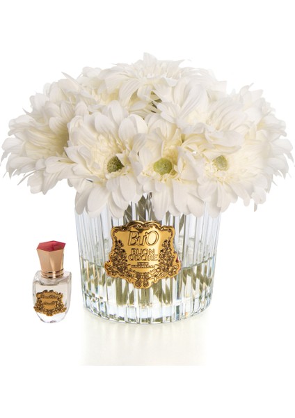 Gerbera Gold Beyaz fiyatları