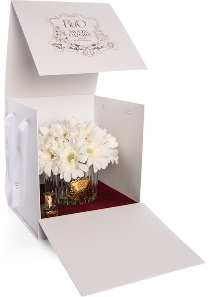 Gerbera Gold Beyaz fırsatları