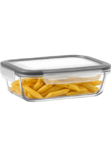 Feyzade Fresco Saklama Kabı Seti 3 Adet 800CC FRS-239 Gri Kapaklı modelleri