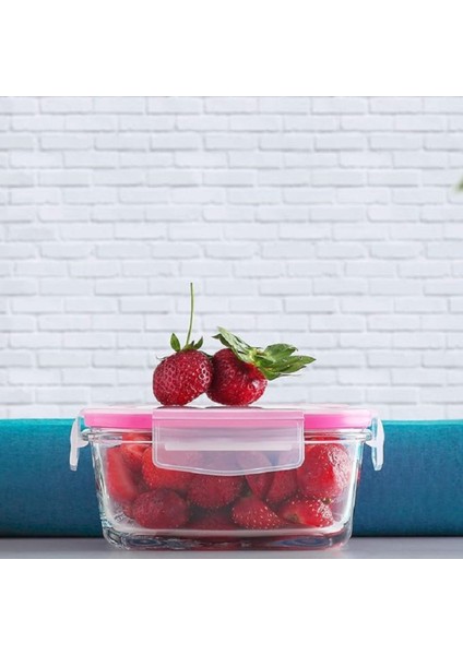 Feyzade Fresco Kilitli Cam Saklama Kabı Seti Pembe Kapak 4 Adet (1150CC-720CC-400CC-375CC) fırsatları