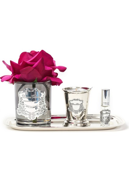 Füme Cam Sılver Bordo Set