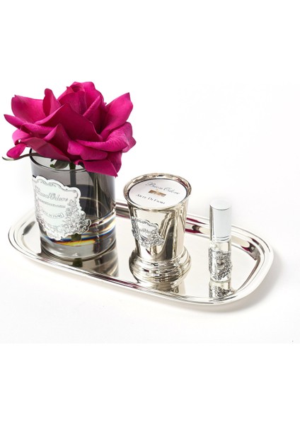 Füme Cam Sılver Bordo Set fiyatları