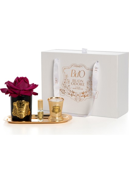 Siyah Cam Gold Bordo Set fiyatları