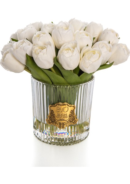 Petita Lale Gold Beyaz