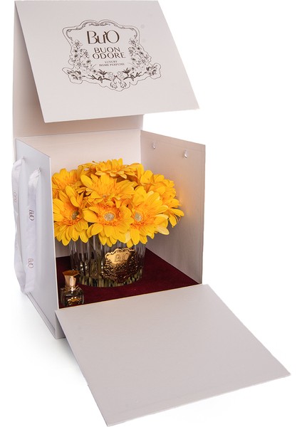 Gerbera Gold Sarı fırsatları