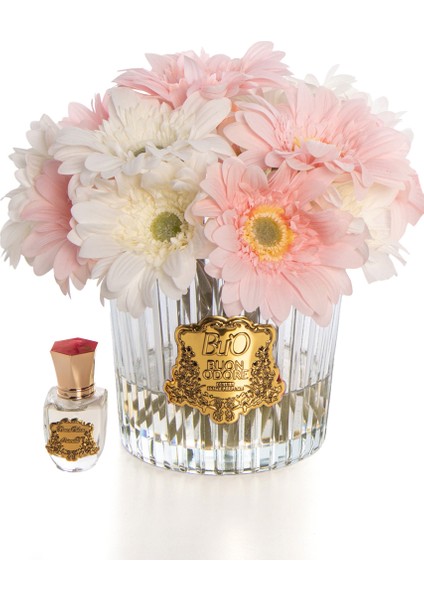 Gerbera Gold Arajman fiyatları