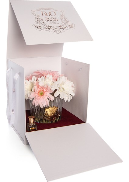 Gerbera Gold Arajman fırsatları