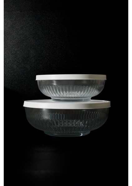 Tokyo 2 Adet Saklama Kabı Beyaz KAPAK(880CC-1500CC) fiyatları