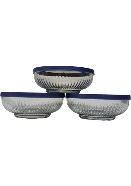 Feyzade Tokyo Saklama Kabı Seti 3'lü (880CC x 3 Adet) Lacivert Kapaklı fiyatları